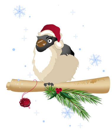 Christmas bird, pine branch and the old scroll of paperのイラスト素材