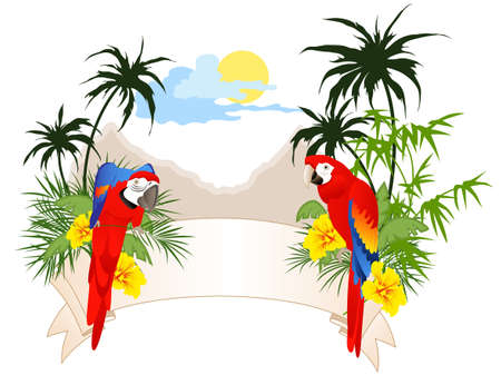 colored summer banner with parrots and palmsのイラスト素材