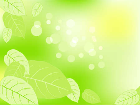 green abstraction background with leaves and sunshineのイラスト素材