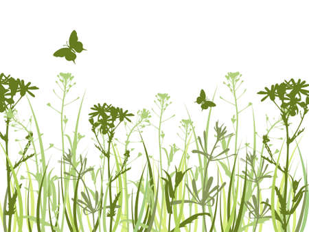 Background with green grass, camomile flowers  and butterflyのイラスト素材