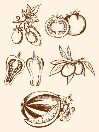 set of hand-drawn vintage vegetable iconsのイラスト素材