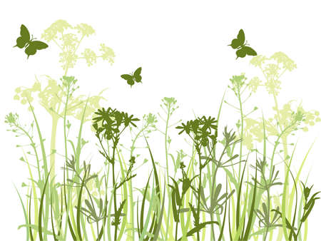 background with green grass, camomile flowers  and butterflyのイラスト素材