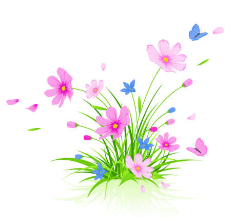 vector floral background with red cosmos flowersのイラスト素材