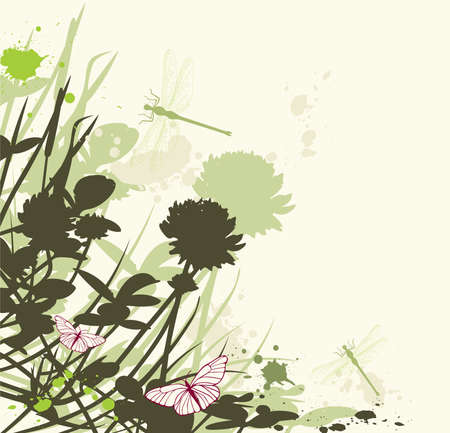vector floral background with clover flowers and dragonflyのイラスト素材