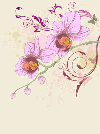hand drawn floral background with orchid and ornamentのイラスト素材