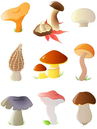set of vector glossy forest mushroomsのイラスト素材