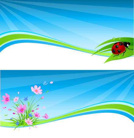 vector blue spring banner with flowers and ladybirdのイラスト素材