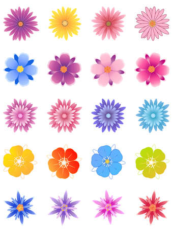 set of vector flowers for designのイラスト素材