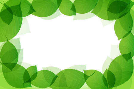 vector green frame from leavesのイラスト素材