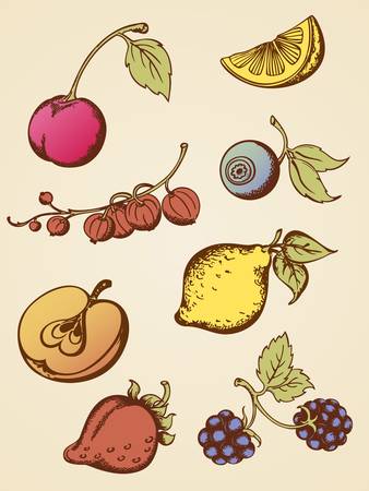 set of hand drawn vintage fruitsのイラスト素材