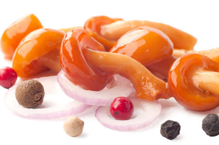 forest mushrooms with onion and pepper on a white backgroundの写真素材