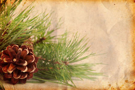 vintage Christmas background with pine branchの写真素材