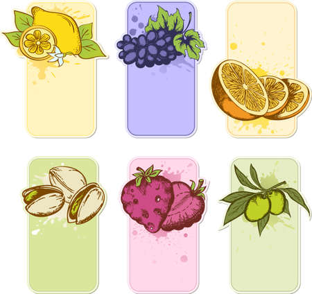 set of hand drawn vector fruit labelsのイラスト素材