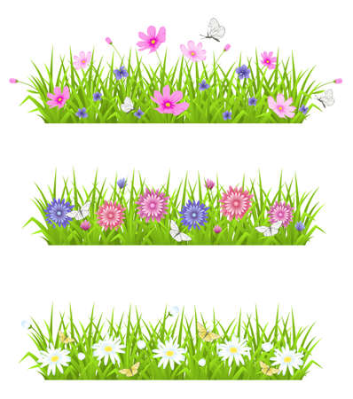 Vector green background with grass and flowersのイラスト素材