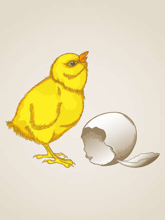 Vector vintage hand drawn yellow chickenのイラスト素材