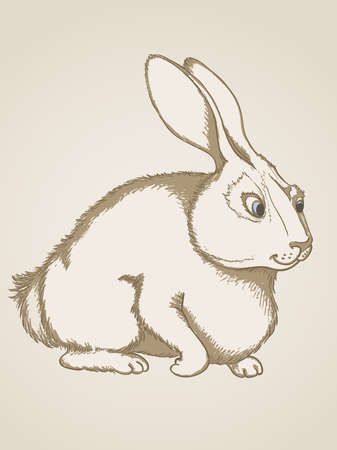 Vector vintage hand drawn  rabbitのイラスト素材