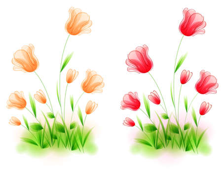 Red and orange vector tulips on a white background