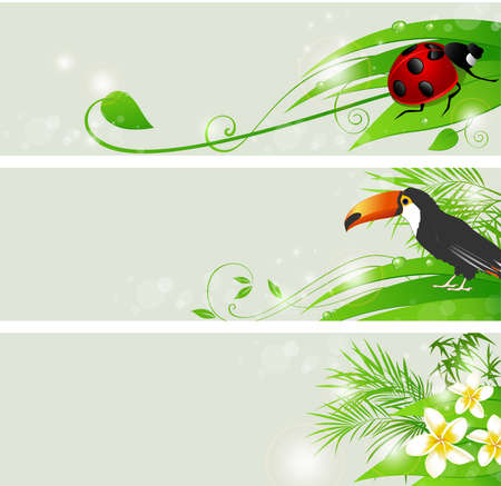 Set of summer banners with flowers and green leavesのイラスト素材