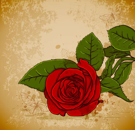 Vector vintage floral  background with red roseのイラスト素材