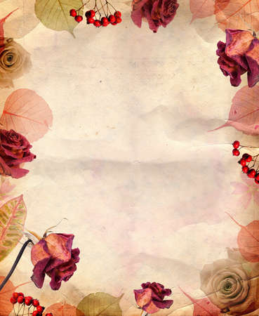 Vintage background with roses and leavesの写真素材