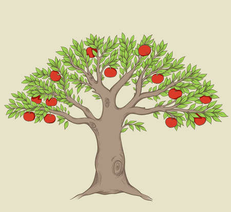 Green tree with red ripe applesのイラスト素材