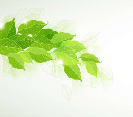 Vector decorative background with green falling  leavesのイラスト素材
