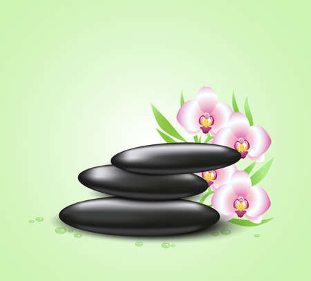 green background with orchids and spa stonesのイラスト素材