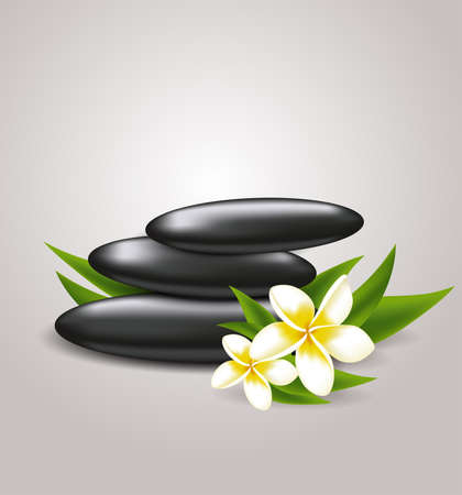 flowers and spa stonesのイラスト素材