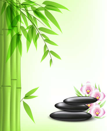 green bamboo and spa stonesのイラスト素材