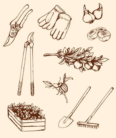 Set of vintage hand drawn garden toolsのイラスト素材