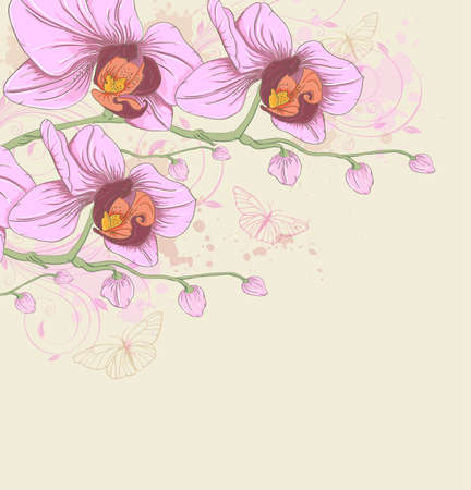 Decorative vector background with pink orchids and butterfliesのイラスト素材