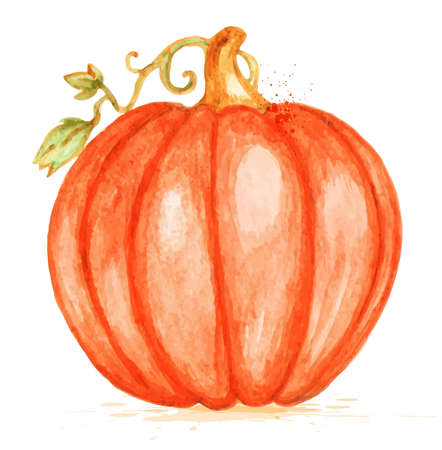 Watercolor vector orange pumpkin on a white backgroundのイラスト素材