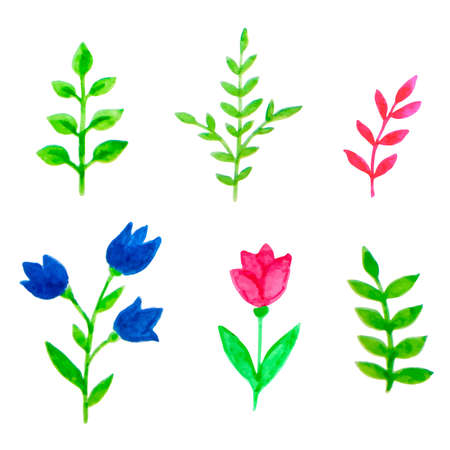 Set of vector watercolor floral elements for designのイラスト素材