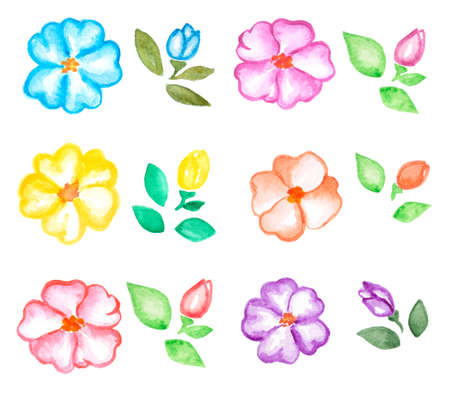 Set of watercolor flowers and leavesの写真素材