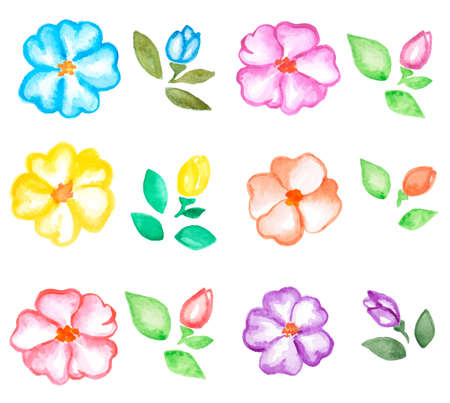 Set of vector watercolor flowers and leavesのイラスト素材