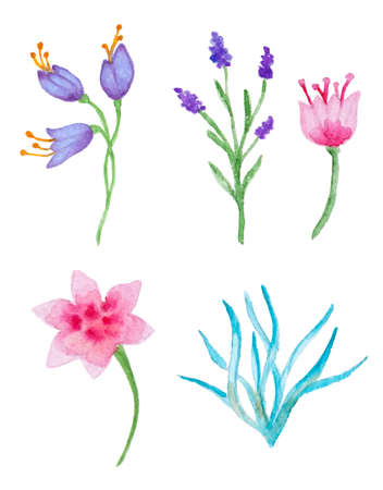 Set of vector watercolor floral elements for designのイラスト素材