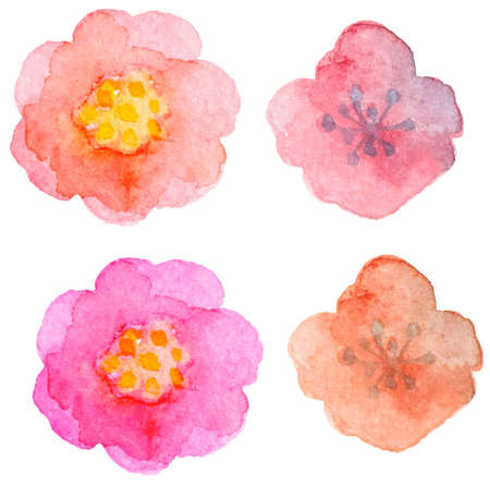 Set of vector watercolor floral elements for designのイラスト素材