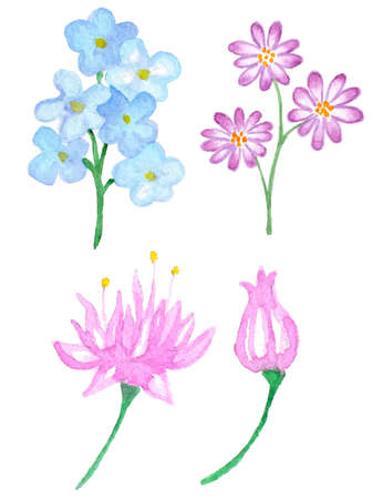 Set of vector watercolor floral elements for designのイラスト素材