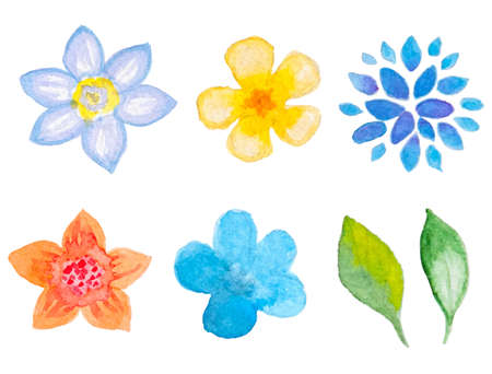 Set of vector watercolor floral elements for designのイラスト素材