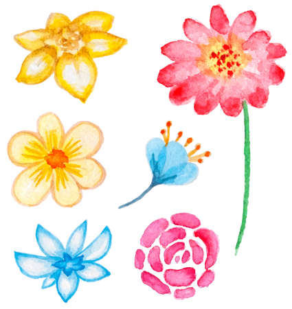 Set of vector watercolor floral elements for designのイラスト素材