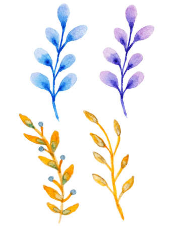 Set of vector watercolor floral elements for designのイラスト素材
