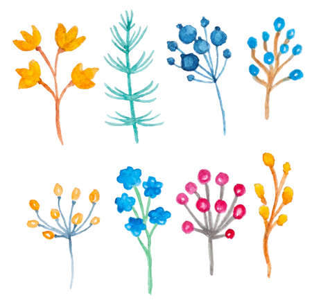 Set of vector watercolor floral elements for designのイラスト素材