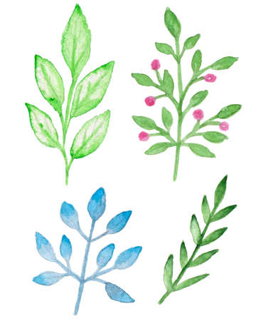 Set of vector watercolor floral elements for designのイラスト素材