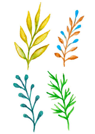 Set of vector watercolor floral elements for designのイラスト素材