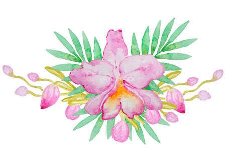 Watercolor hand drawn pink orchid and palm leavesの写真素材