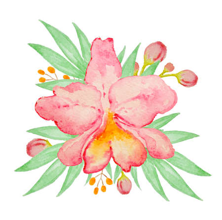 Watercolor hand drawn pink orchid and palm leavesの写真素材