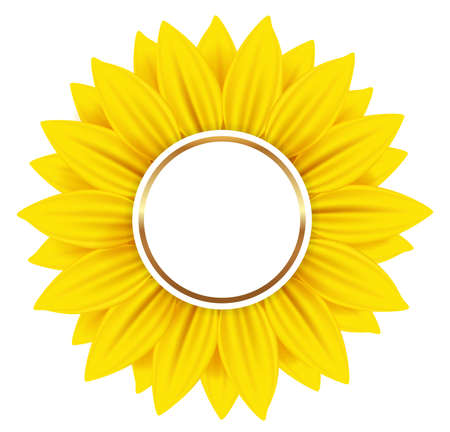 Round vector banner with yellow sunflower on a white backgroundのイラスト素材
