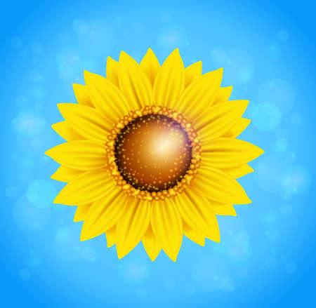 Decorative vector summer background with sunflower and blue skyのイラスト素材