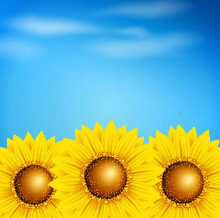 Decorative vector summer background with sunflowers and blue skyのイラスト素材