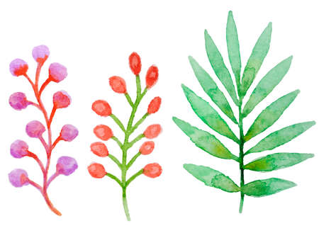 Decorative vector watercolor floral elements for designのイラスト素材